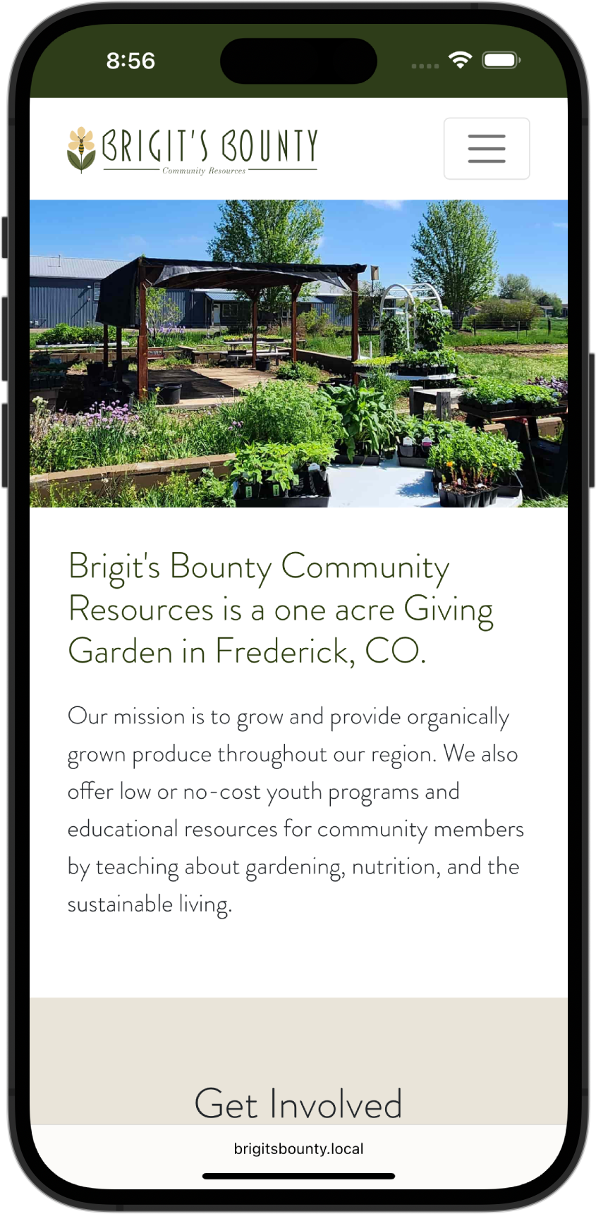Screenshot of Brigit's Bounty website on a mobile phone